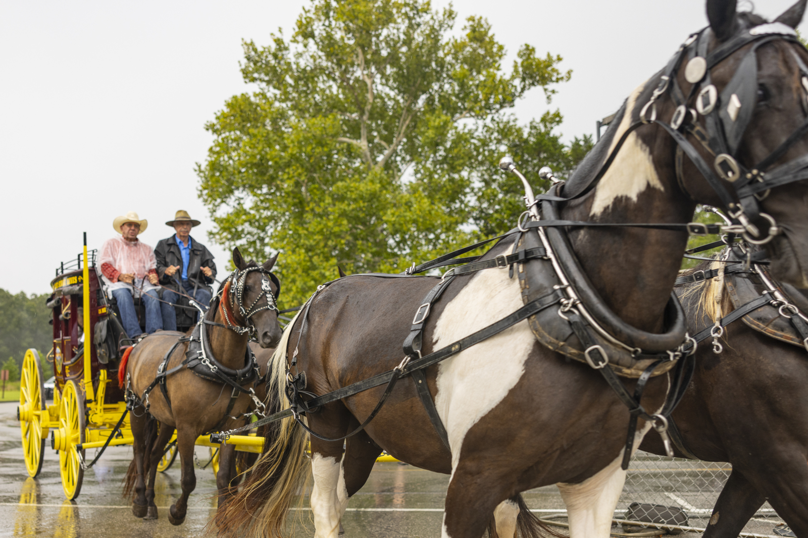 stagecoach_001.jpg