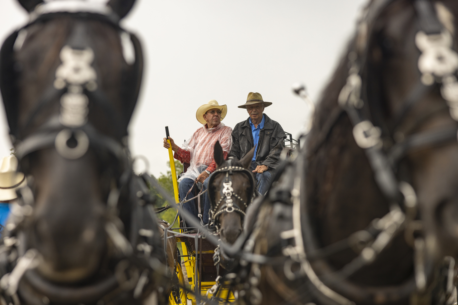 stagecoach_011.jpg