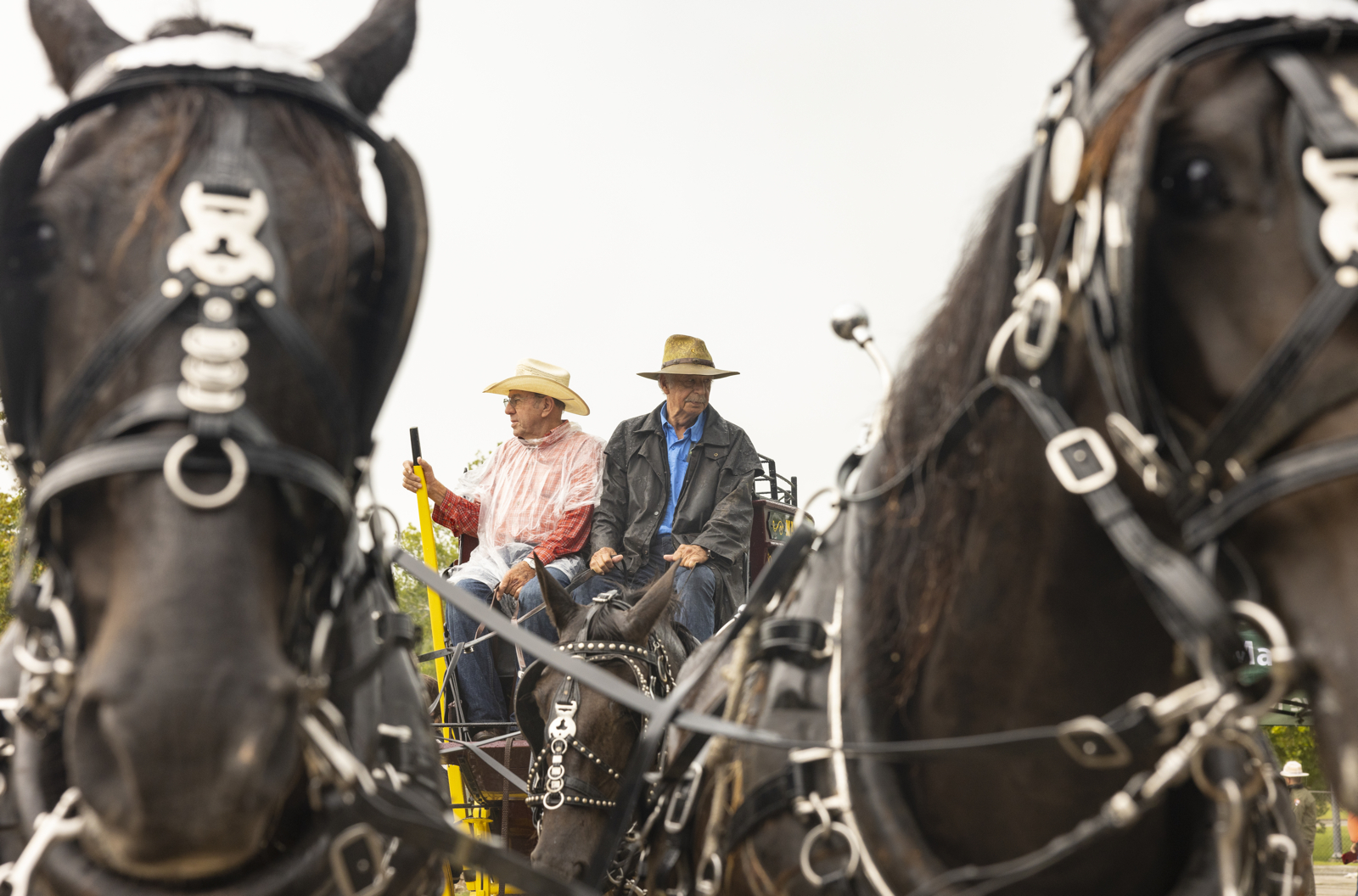 stagecoach_012.jpg