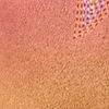 The product color Ombre
